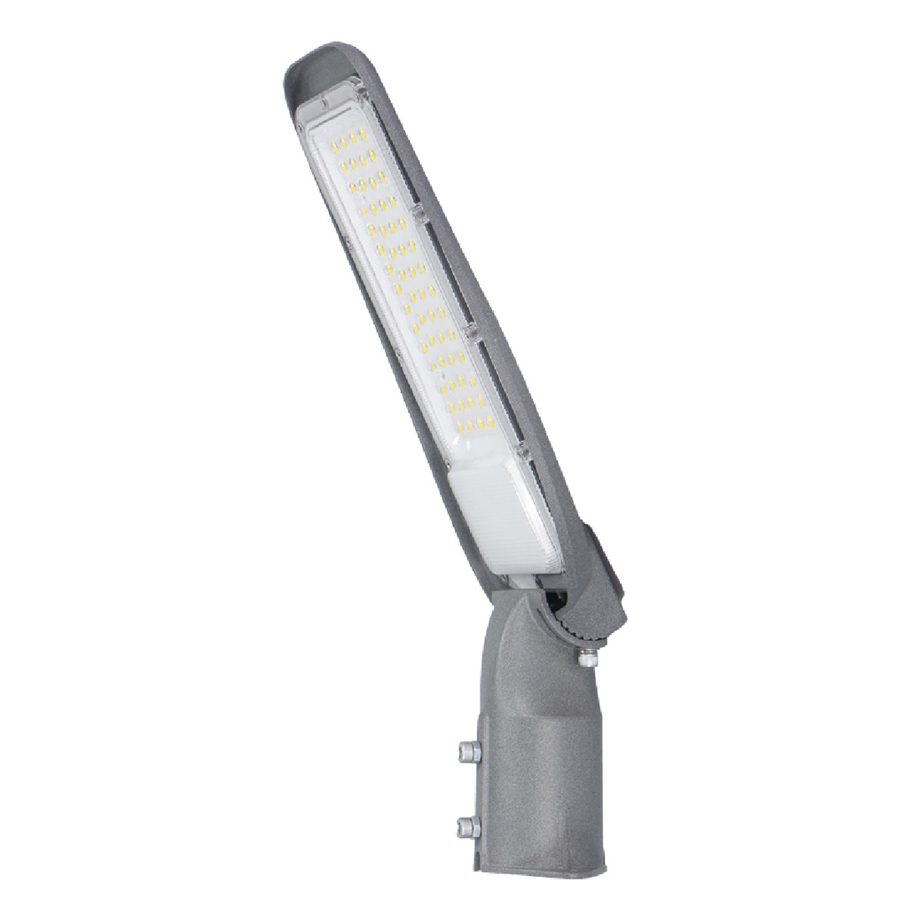 Farola LED Bagura 100W 6500K IP65 - Pro Line