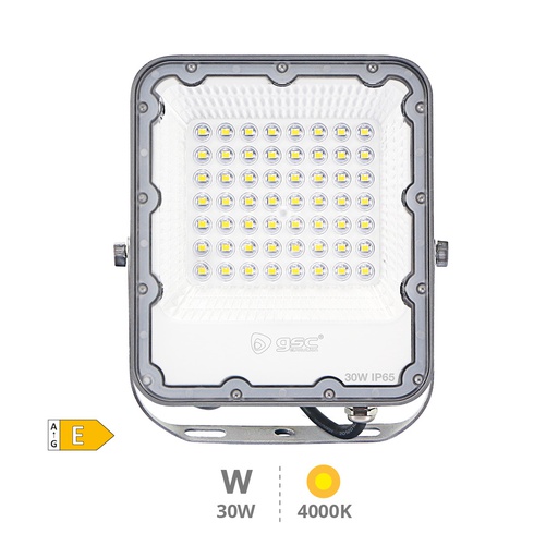 [202600067] Proyector aluminio LED 30W 4000K IP65 Gris