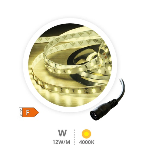 [204030011] Rollo 5M tira LED 12W/M 4000-4500K 24V