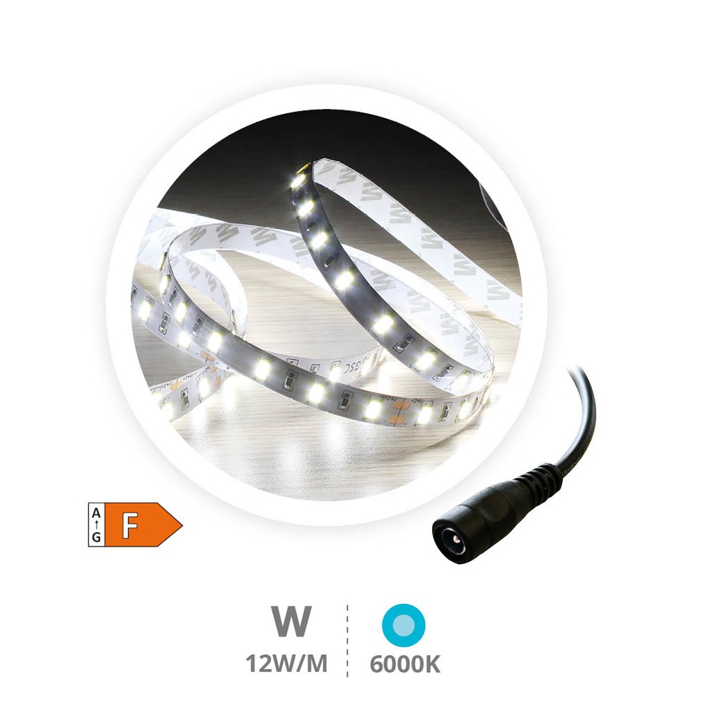 Rollo 5M tira LED 12W/M 6000-6500K 24V