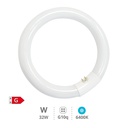 [200800009] Tubo fluorescente circular T9 trifósforo 32W G10q 6400K