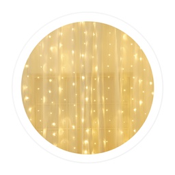 [204605006] 2X2M LED curtain Warm White