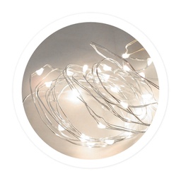 [204805016] Guirlande fil de fer LED 2 M 2xCR2032 Lumière froide